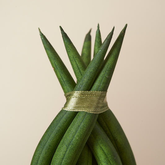 Bogenhanf geflochtener Mikado