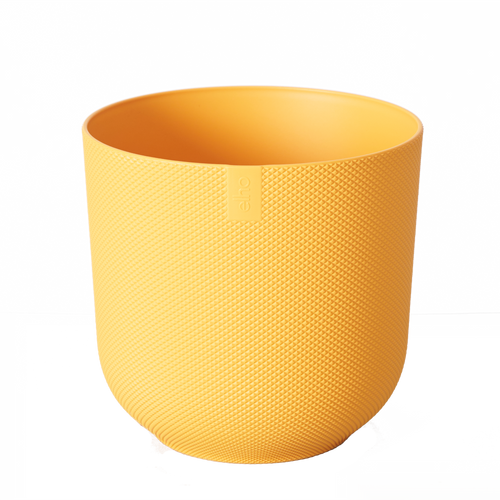 Übertopf Indoor 'Jazz'