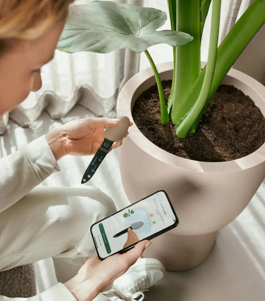 elho smart pebble