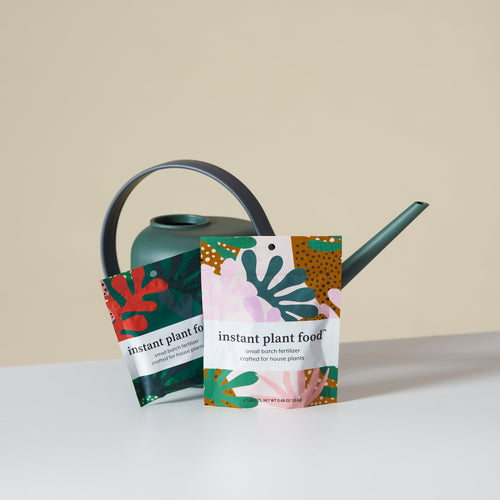 Dünger Tabletten (2 Stück)