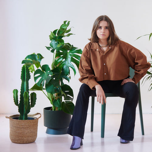 Monstera am Moosstab